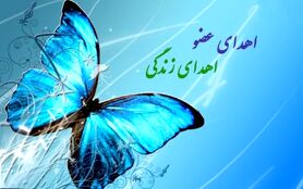 اعضای بدن جوان ۲۶ ساله به ۴ بیمار زندگی دوباره بخشید