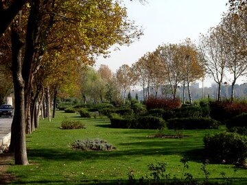 غارت فضای سبز به بهانه تغییر کاربری نادرست است