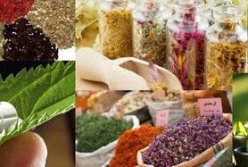 قابلیت‌های معقول و منطقی طب سنتی ایرانی باید ترویج شود