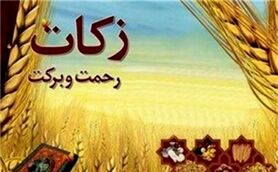 زکات عامل ریشه کنی فقر در جامعه
