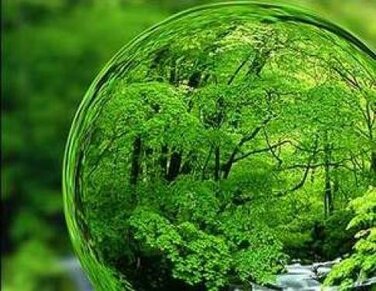 تاکسیدرمی برای حفظ تنوع زیستی