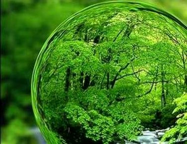 تاکسیدرمی برای حفظ تنوع زیستی