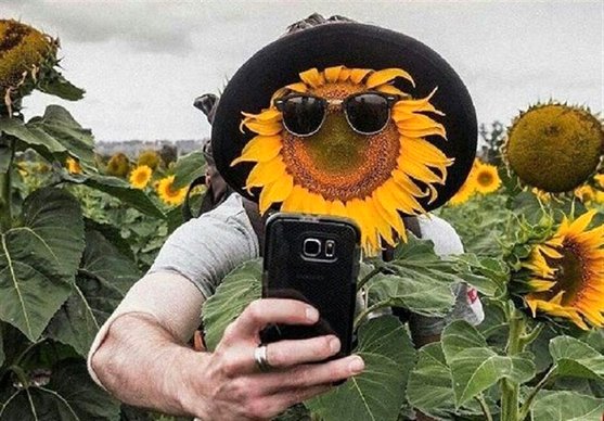 خلاقانه‌ترین سلفی!