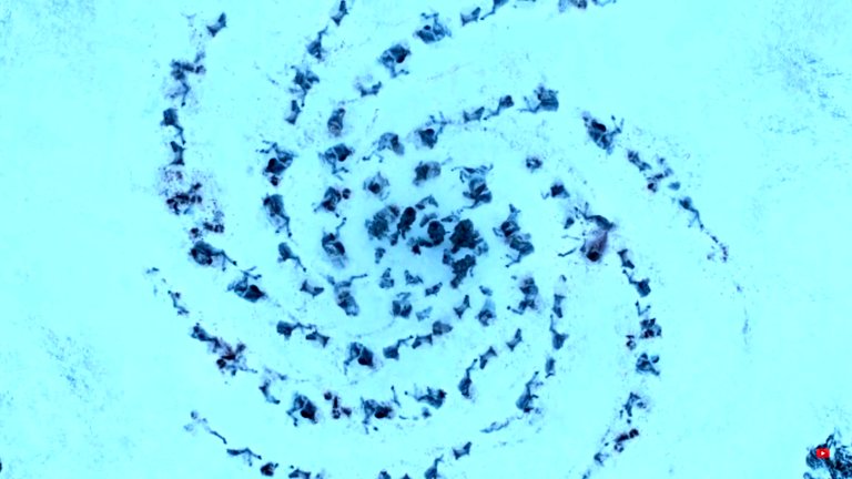 رمز گشایی از مارپیچ های گیم آف ترونز