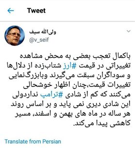 سیف: برخی از گرانی ارز بیشتر از ترامپ خوشحال می شوند