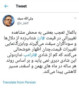 سیف: برخی از گرانی ارز بیشتر از ترامپ خوشحال می شوند