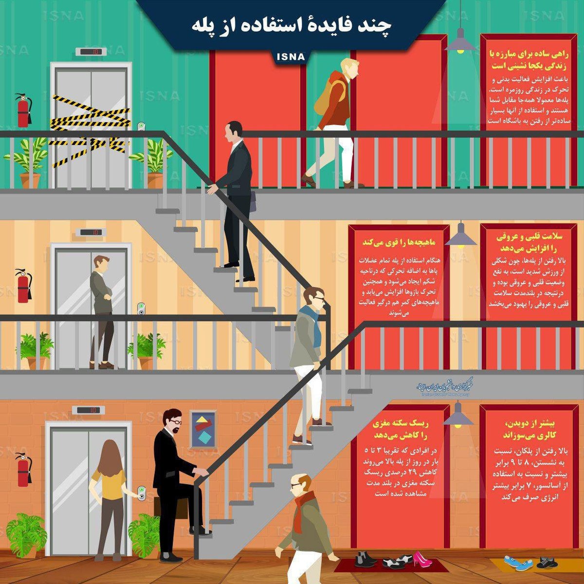 اینفوگرافی: چند فایده استفاده از پله