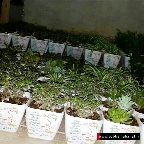 اقدام جالب جوان خوش ذوق محلاتی برای دعوت از میهمانان عروسی