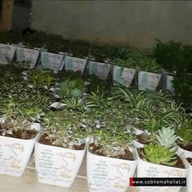 اقدام جالب جوان خوش ذوق محلاتی برای دعوت از میهمانان عروسی