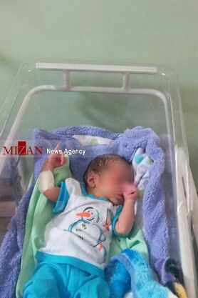 هجوم مورچه ها به نوزادان رها شده در کنار سطل زباله بیمارستان
