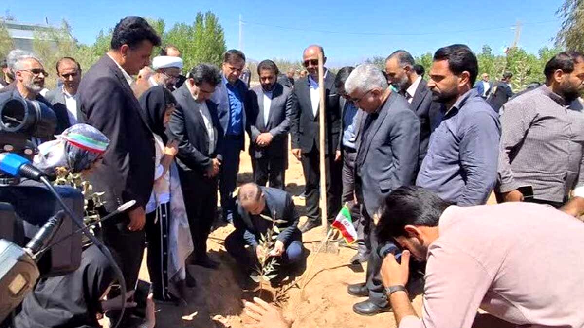 توزیع ۸۴۰ هزار نهال با نهضت ملی کاشت یک میلیارد درخت در اصفهان 