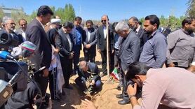 توزیع ۸۴۰ هزار نهال با نهضت ملی کاشت یک میلیارد درخت در اصفهان 