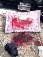 دعوت پیامکی به ضیافت مرگ!