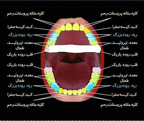 راز پوسیدگی دندان‌ها در چیست؟
