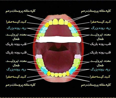 راز پوسیدگی دندان‌ها در چیست؟