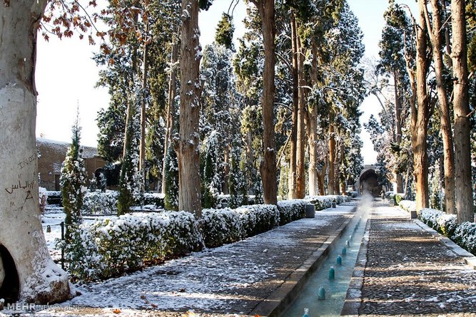 سفید پوش شدن باغ فین کاشان