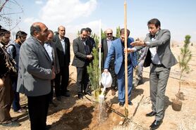 حکم کاشت 1500 نهال به جرم آلایندگی