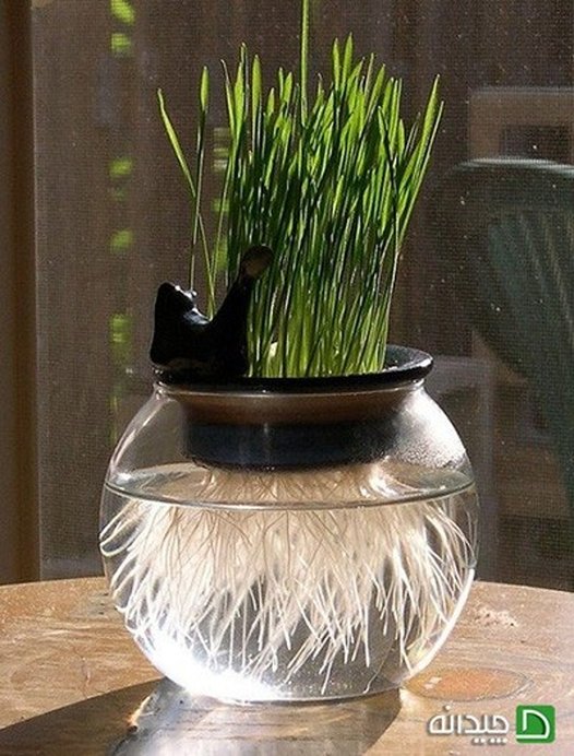 سبزه عید ۹۷، امسال مدرن و ساده تزیین کنید!