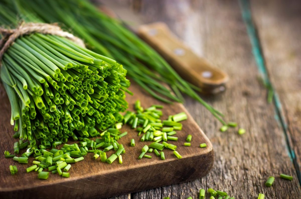 تره چیست؟ بررسی خواص، طبع و مضرات این سبزی مفید