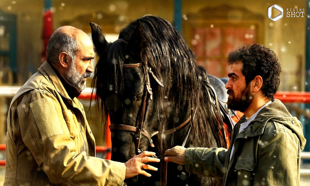 فیلم ناتور دشت محمدرضا خردمندان با بازی هادی حجازی فر