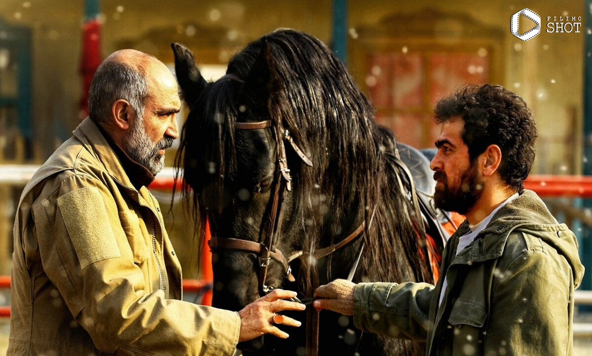 فیلم ناتور دشت محمدرضا خردمندان با بازی هادی حجازی فر