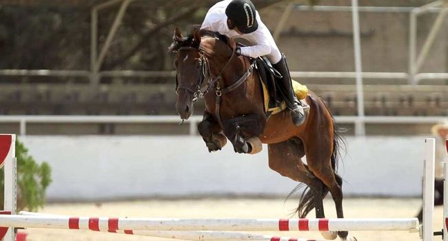 تکیه قهرمانان بر سکوی افتخار؛ پرونده مسابقات پرش با اسب قهرمانی استان اصفهان بسته شد