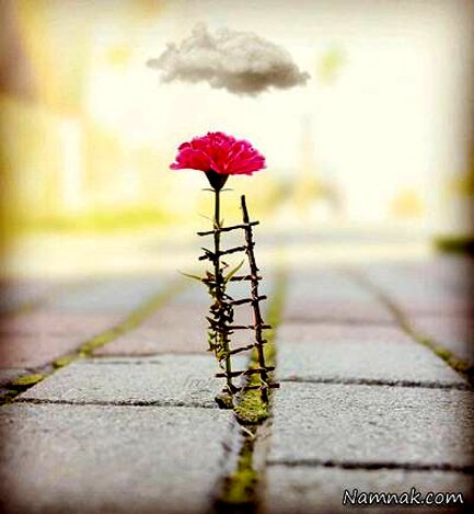 ۱۴۰۱ را زنده ماندم اما زندگی نکردم