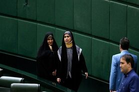 دهم زنان خط قرمزند/ بعضی از زنان نماینده اکراه داشتند با من عکس بگیرند