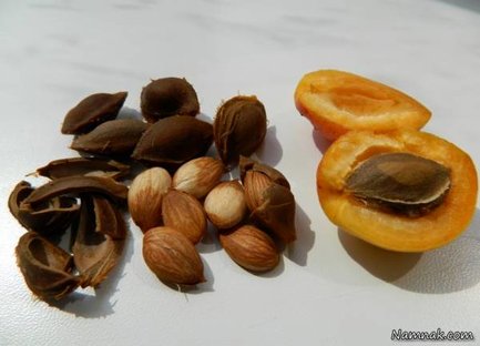 مضرات خوردن مغز هسته “زردآلو”