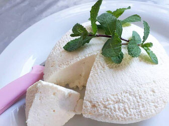 طرز تهیه پنیر خانگی