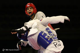 میرهاشم حسینی: برنج‌کاری از حضور در تکواندو برایم سودآورتر است