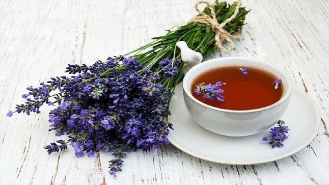 خواص گل گاو زبان/ ۴ دسته از افراد که نباید لب به این نوشیدنی بزنند!