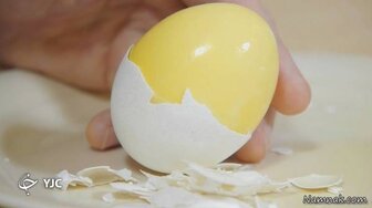 ۶ نوع تخم مرغ‌ که از سم هم مضرتر هستند