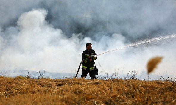 (تصاویر) آتش سوزی در بستر زاینده رود