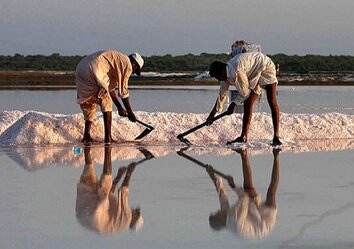 نمک دریا، ماده‌ای مفید یا سرطان زا؟