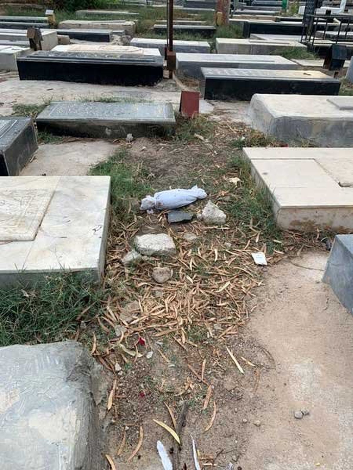 رهاسازی کودک فوت‌شده در قبرستان گناوه!