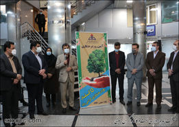 کارکنان زاگرس جنوبی با کاشت ۱۰۰۰ اصله نهال در روز درختکاری به استقبال بهار می‌روند