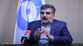 کمالوندی: اطلاعات کافی درباره خرابکاری در تأسیسات هسته‌ای نطنز وجود ندارد