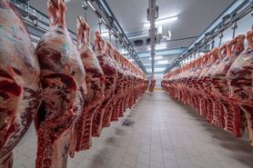 قیمت گوشت برای مصرف کننده نباید از ۱۲۰ هزار تومان بیشتر باشد