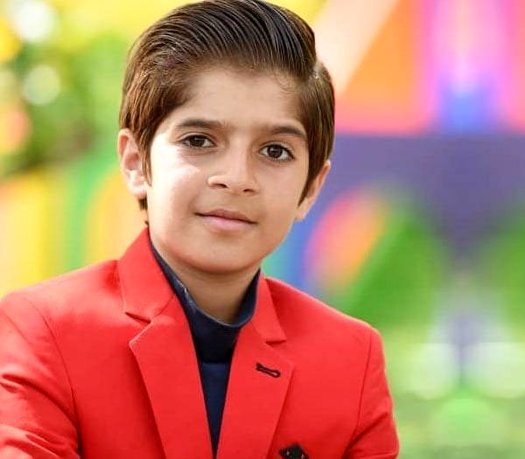 بازیگر نقش امیر در سریال بچه مهندس 4