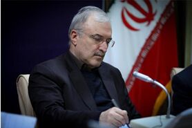 وزیر بهداشت: مراقب ویروس هندی باشید/ کنترل مرزهای زمینی و دریایی