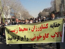 مطالبه کشاورزان اصفهان سیاسی نیست/مشارکت حداکثری در انتخابات