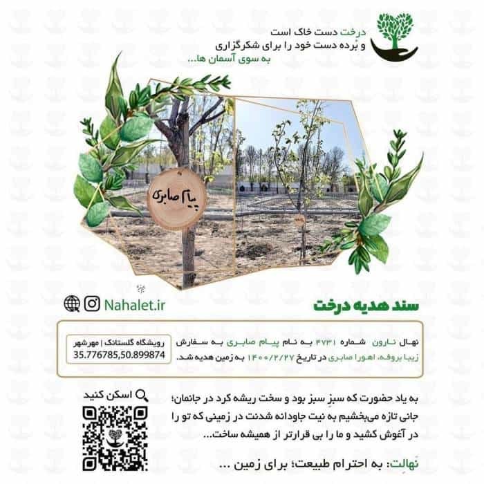 هدیه متفاوت زیبا بروفه برای تولد همسر مرحومش