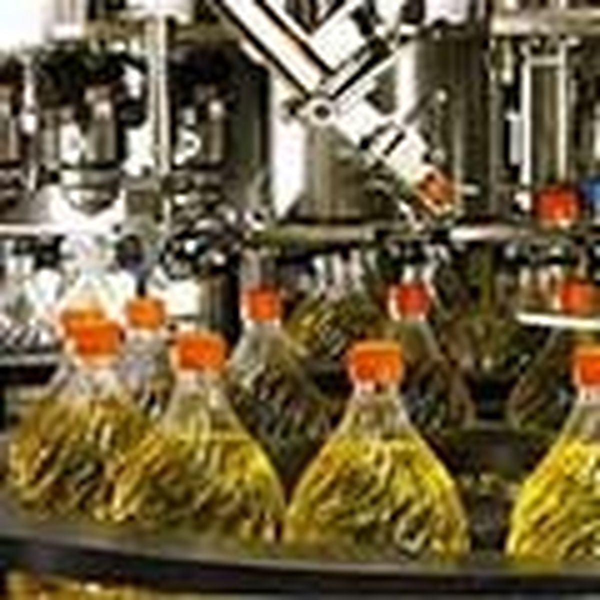 دلایل افزایش قیمت روغن در بازار