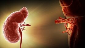 علائم قبل و بعد از پیوند کلیه را بشناسید