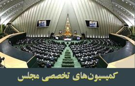 وزیر کشور جهت ارائه گزارش درباره انتخابات به مجلس می‌رود