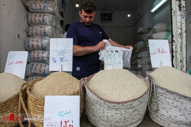کاهش تقاضای برنج وارداتی/ واردات ۲۰۰ هزار تُن برنج به کشور