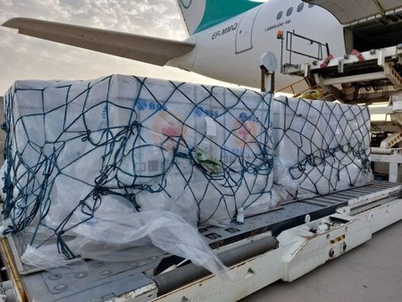 ششمین محموله واکسن کرونا به کشور رسید