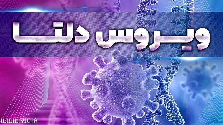 انتقال دلتای هندی و بروز علائم در چند ساعت رخ می‌دهد