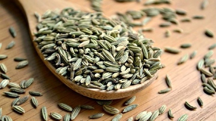 تاثیر قابل توجه گیاه رازیانه در درمان عفونت کرونا